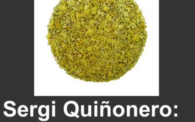 El Museo Deu inaugura este viernes la exposición temporal "Naturalis" de Sergi Quiñonero