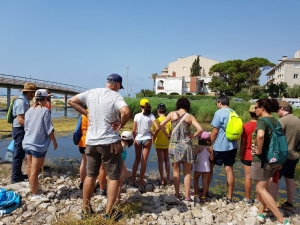 Itinerario de naturaleza exótica en las Madrigueras