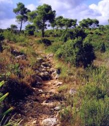 S’obre el termini per entregar les fotos del Concurs de Fotografia del Museu Arqueològic