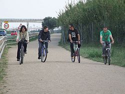 The Vendrell celebrates the Party of the Bicycle