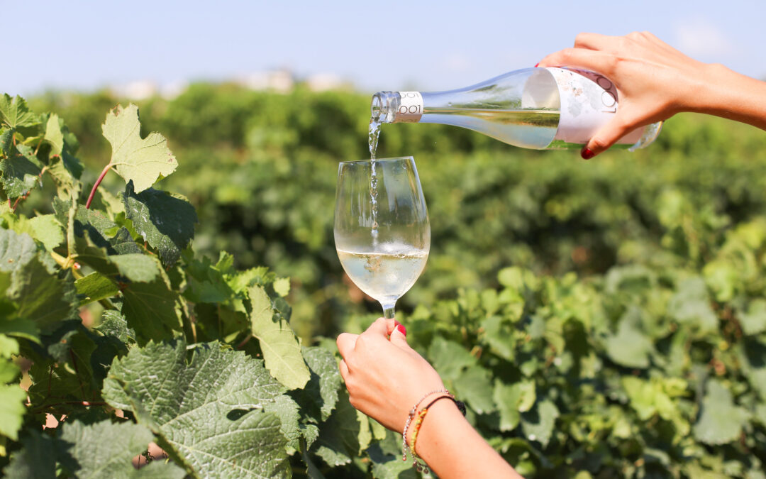 Celler Avgvstvs Forvm