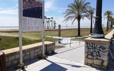 El chorlitejo patinegro ha aprovechado estos días excepcionales para reproducirse en las playas