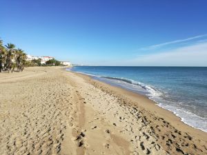 Las playas del Vendrell superan un año más las auditorías de los certificados de calidad y ambiental ISO 9001 e ISO 14001