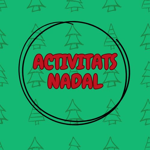 FIRA DE NADAL EL VENDRELL 17