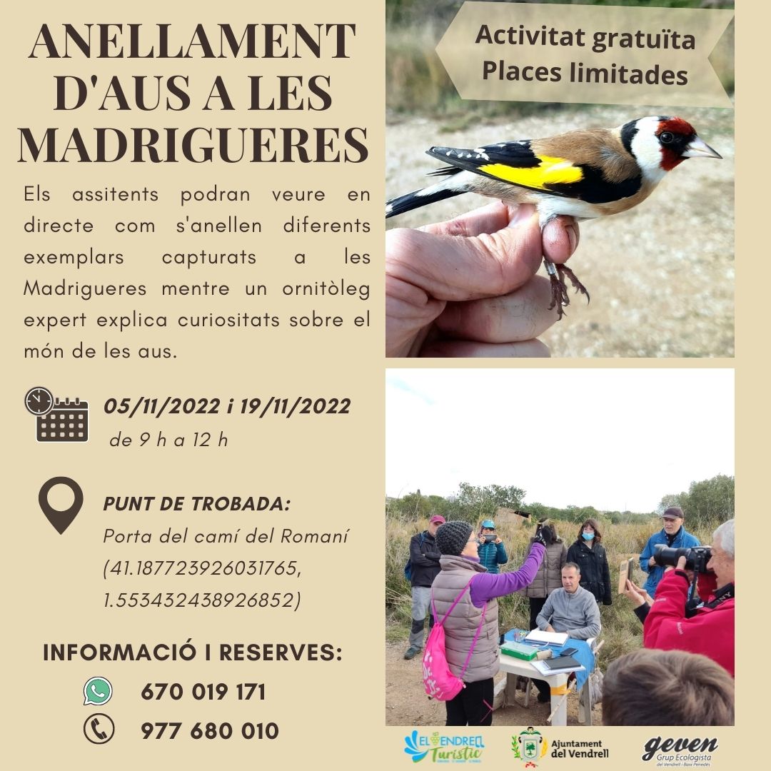 BAGUAGE D'OISEAUX DANS LES MADRIGUERES 27