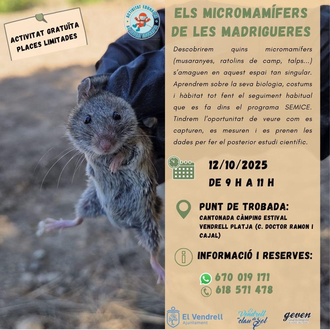 ELS MICROMAMÍFERS A LES MADRIGUERES 27