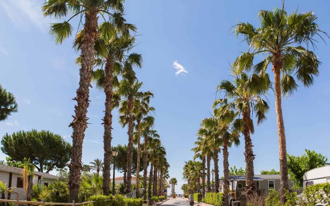 Càmping Estival Vendrell Platja