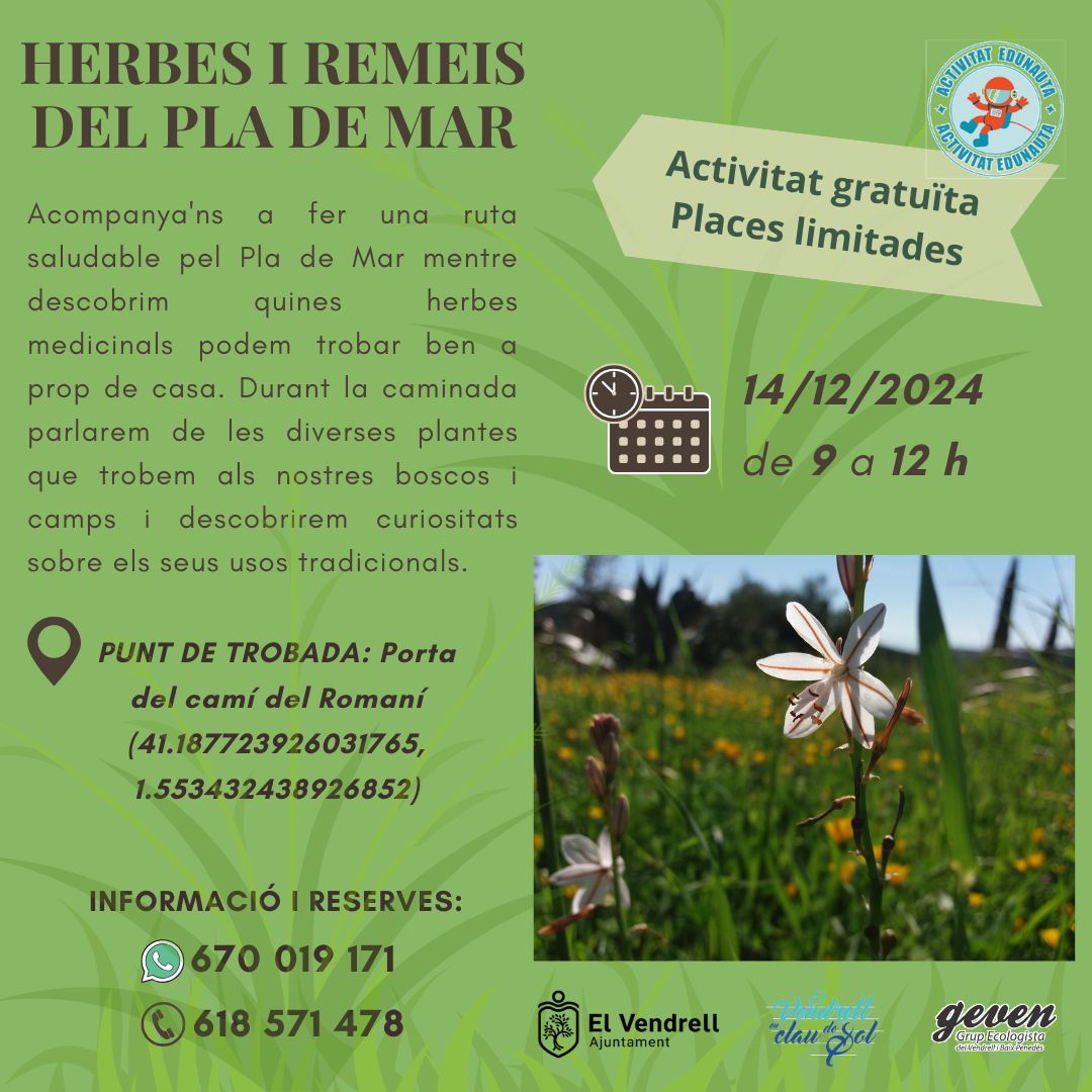 HERBES I REMEIS DEL PLA DE MAR 27