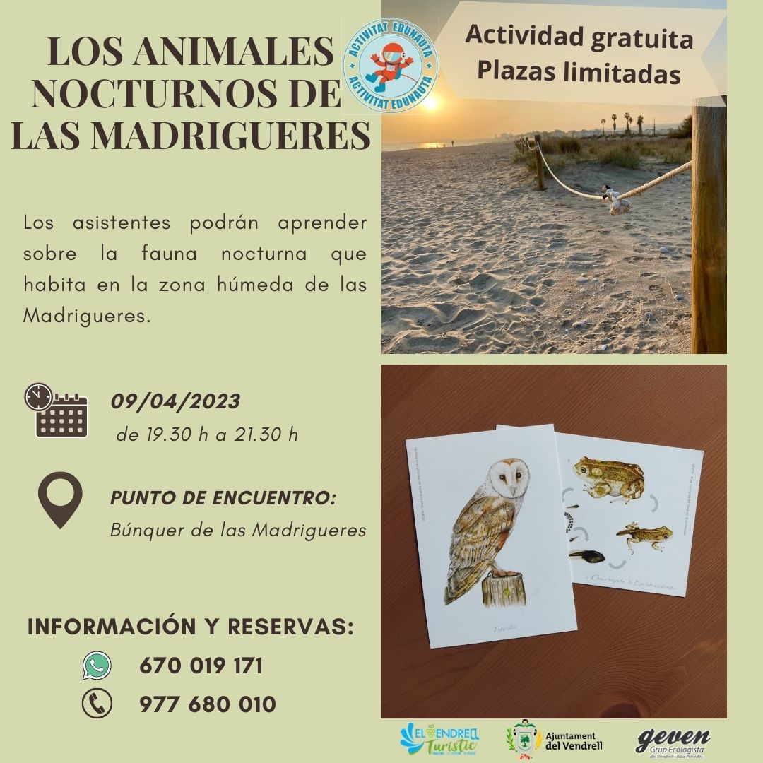 ELS ANIMALS NOCTURNS DE LES MADRIGUERES 29