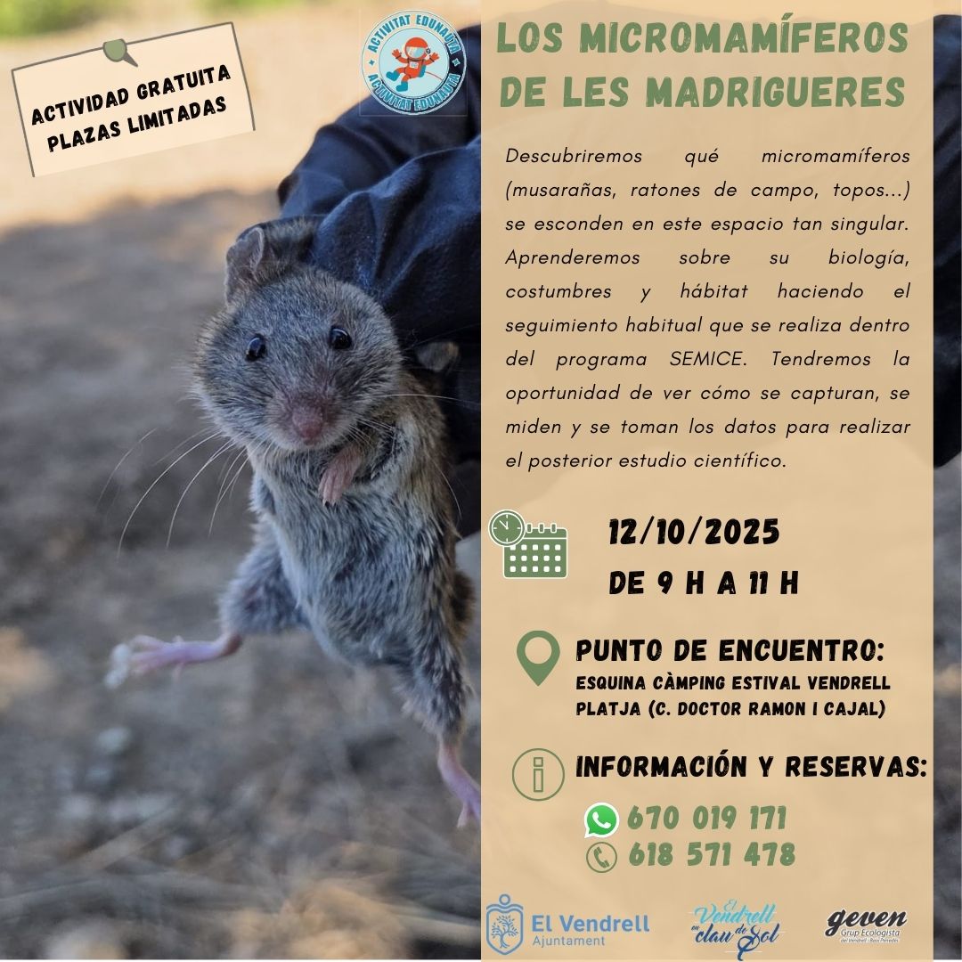 ELS MICROMAMÍFERS A LES MADRIGUERES 29