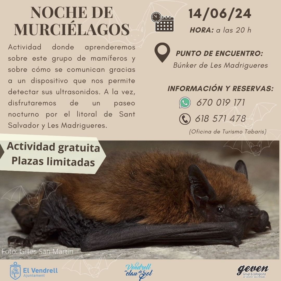 NIT DE RATPENATS 29