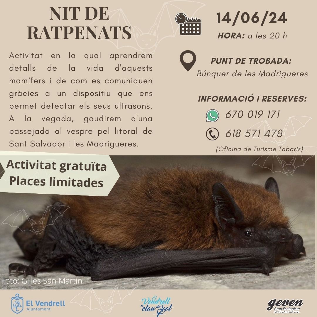 NIT DE RATPENATS 27