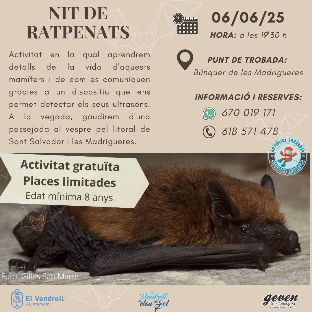 NIT DE RATPENATS 27