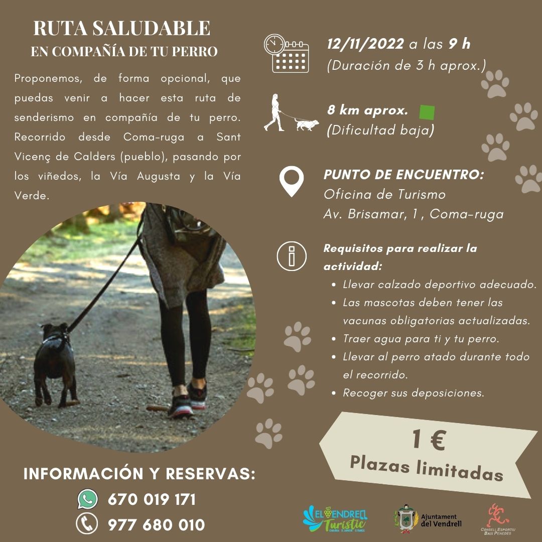 RUTA SALUDABLE EN COMPAÑÍA DE TU PERRO 29
