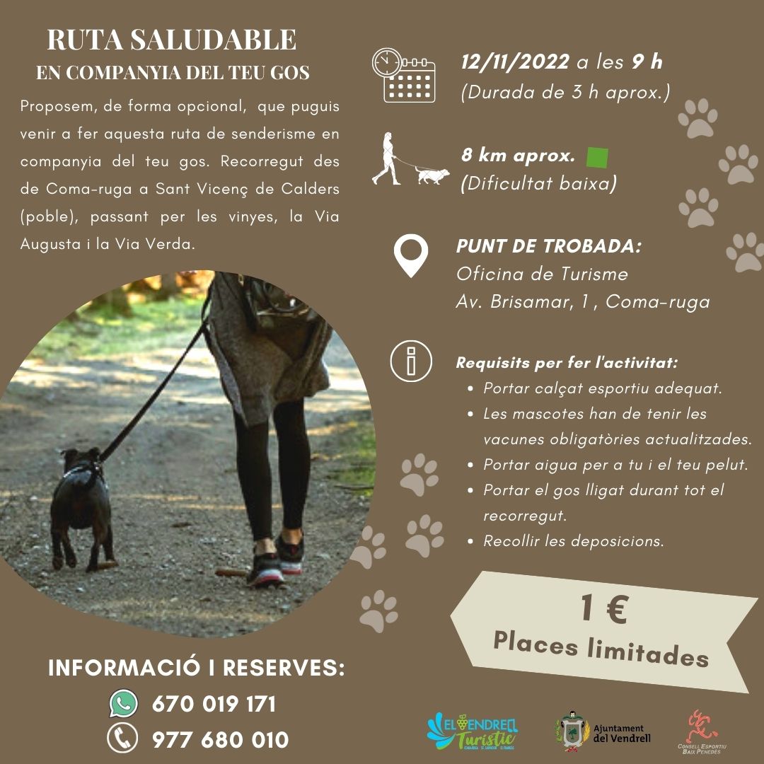 RUTA SALUDABLE EN COMPAÑÍA DE TU PERRO 27