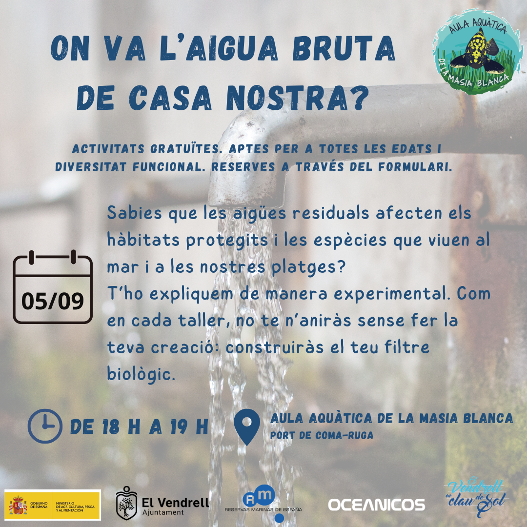 TALLER ON VA L'AIGUA BRUTA DE CASA NOSTRA? 19