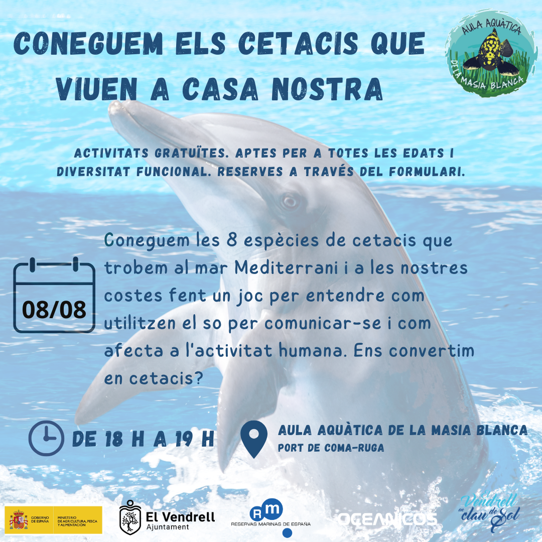 TALLER CONEGUEM ELS CETACIS QUE VIUEN A CASA NOSTRA 19