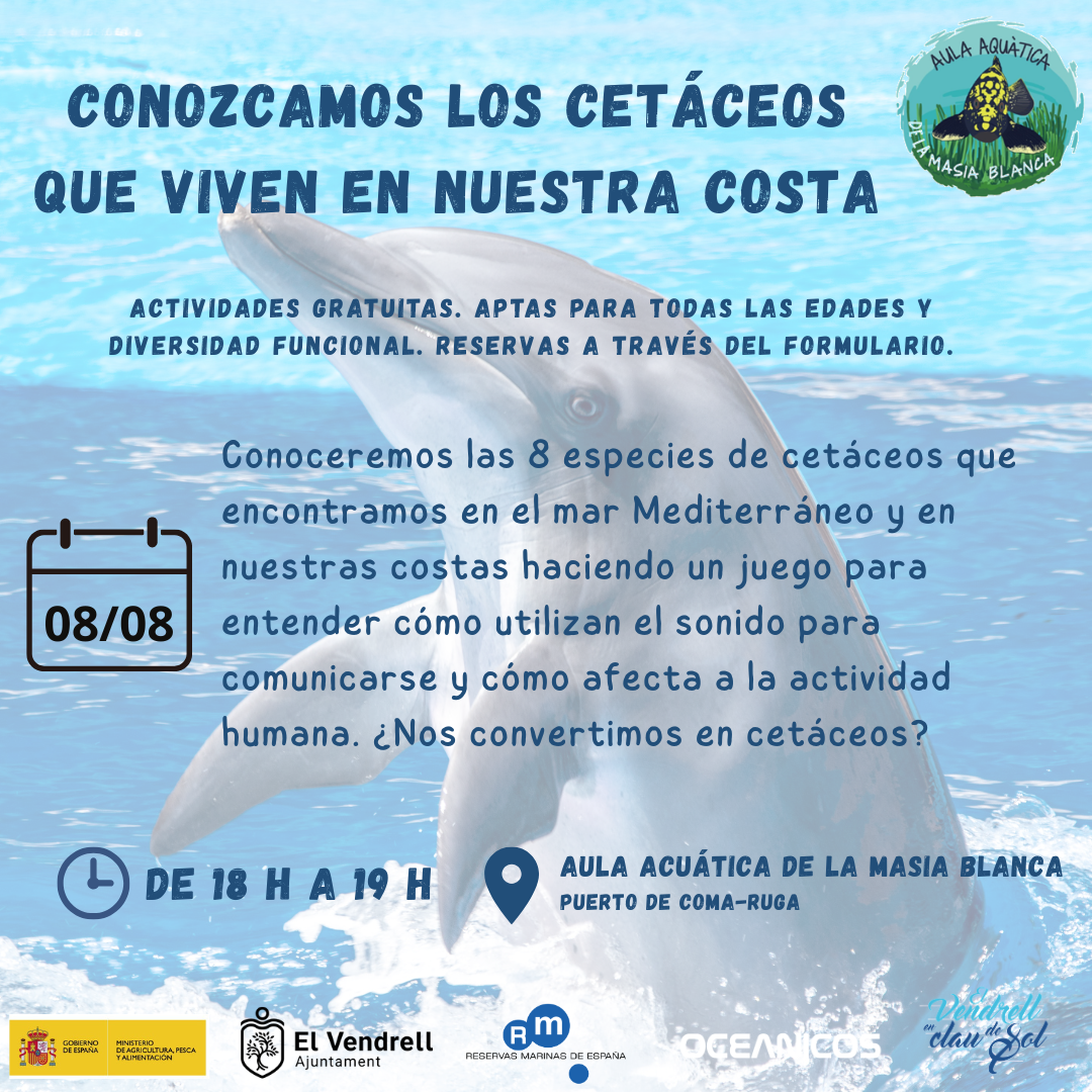 TALLER CONEGUEM ELS CETACIS QUE VIUEN A CASA NOSTRA 21