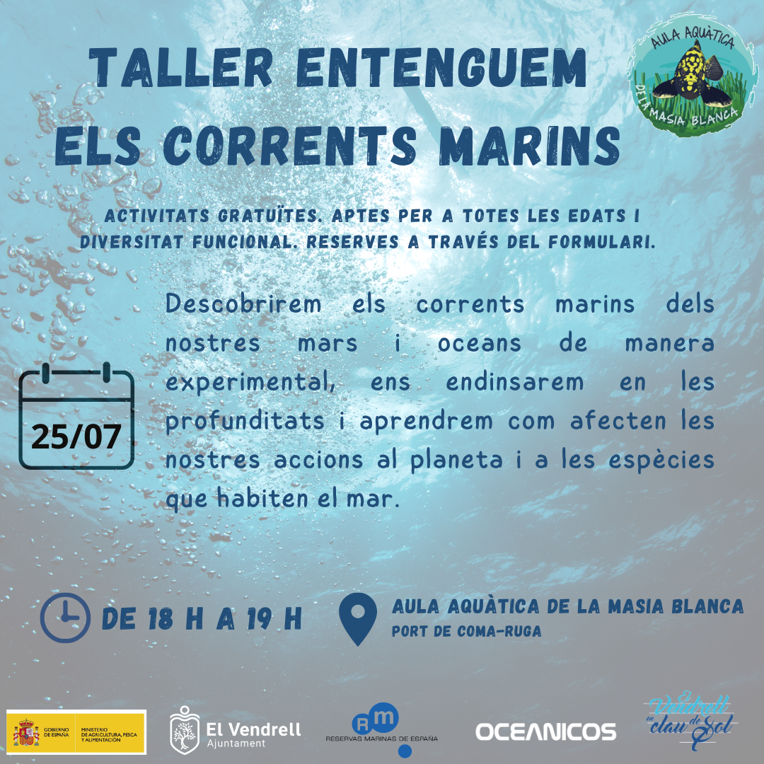 TALLER ENTENGUEM ELS CORRENTS MARINS 21