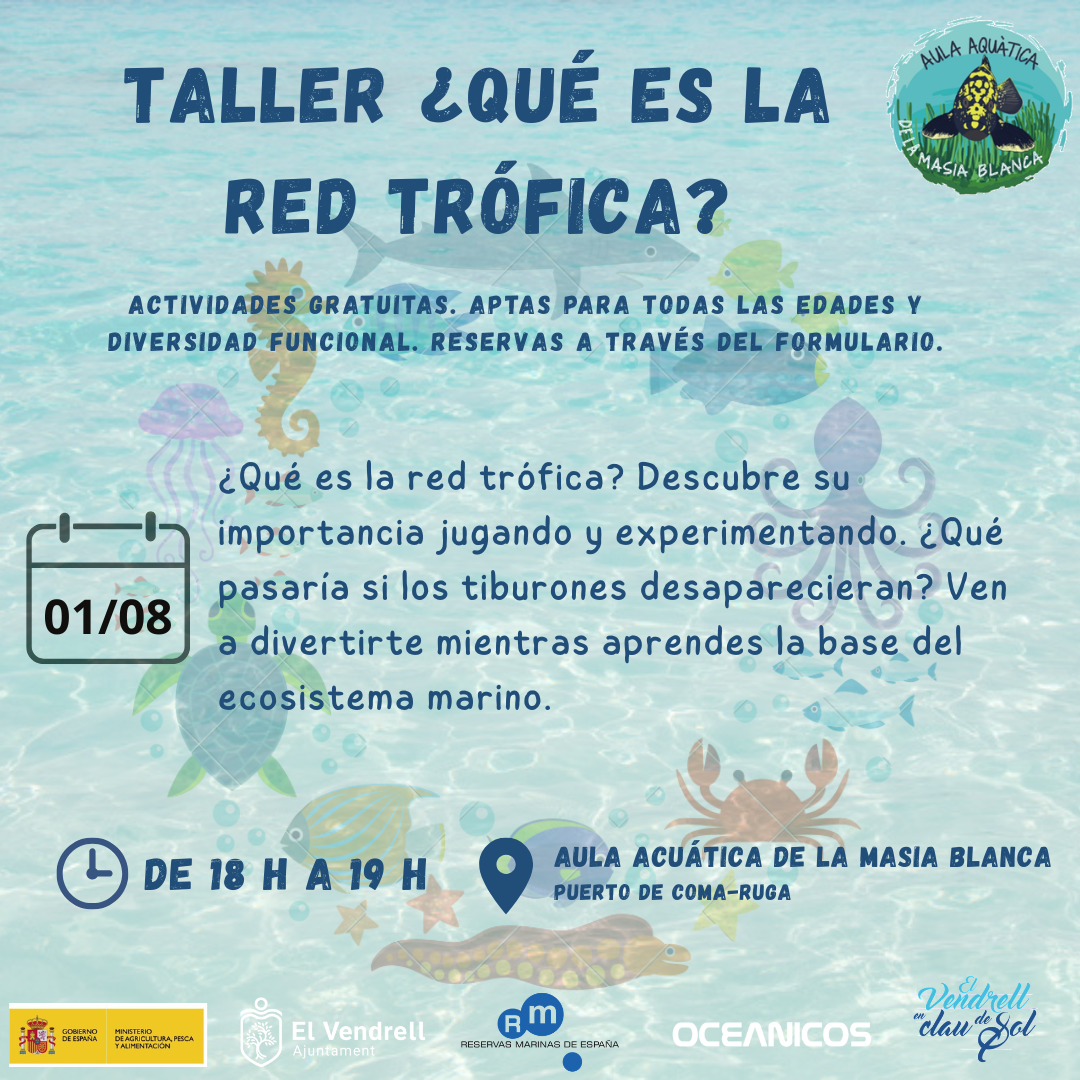 TALLER QUÈ ÉS LA XARXA TRÒFICA? 19
