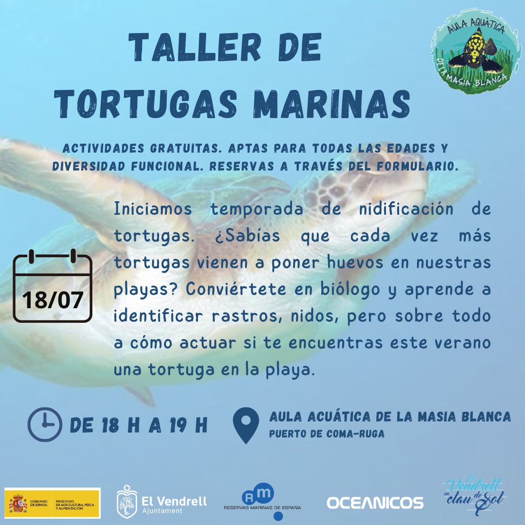 TALLER DE TORTUGUES MARINES 19