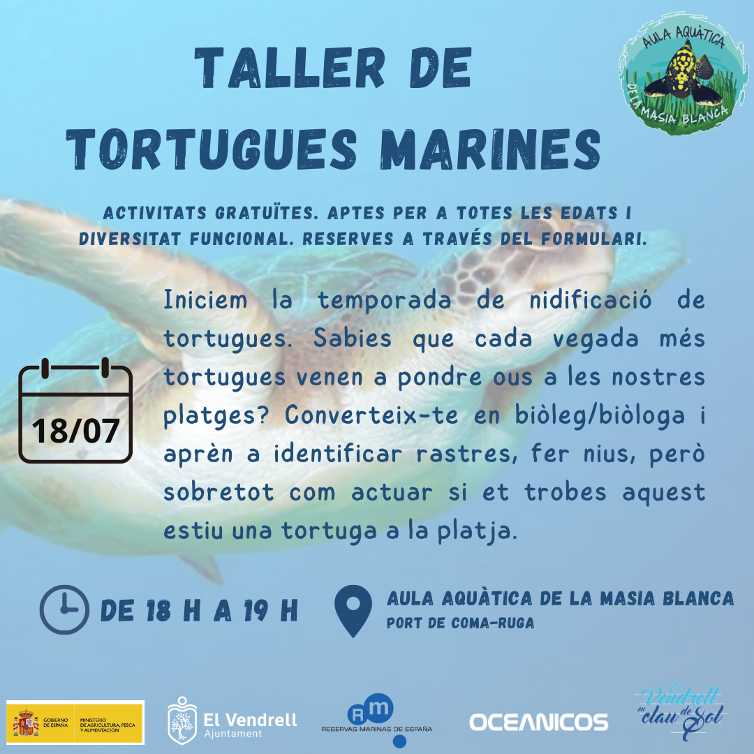 TALLER DE TORTUGUES MARINES 21