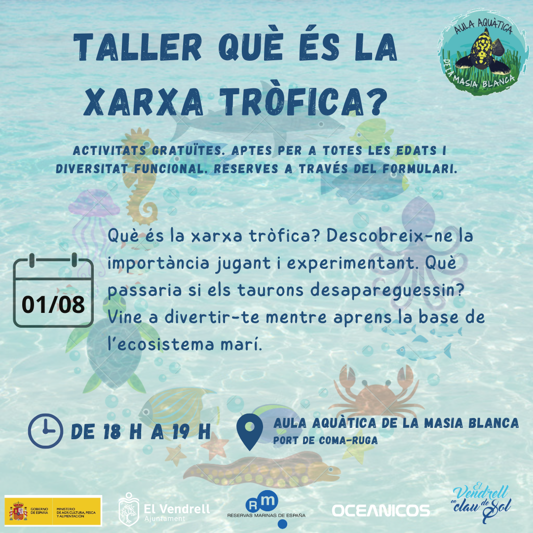 TALLER QUÈ ÉS LA XARXA TRÒFICA? 21