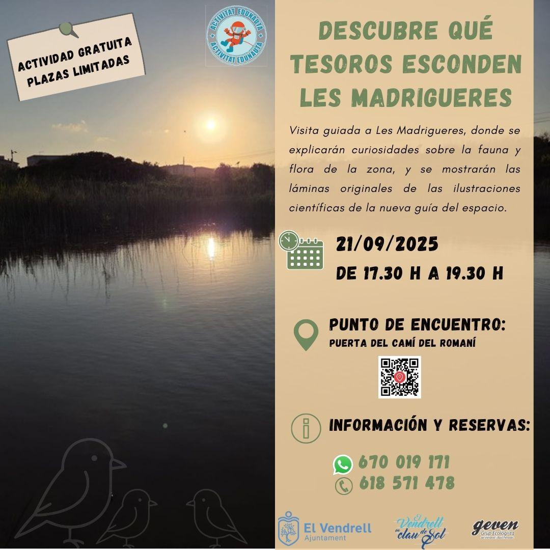 DESCUBRE QUÉ TESOROS SE ESCONDEN EN LES MADRIGUERES 29