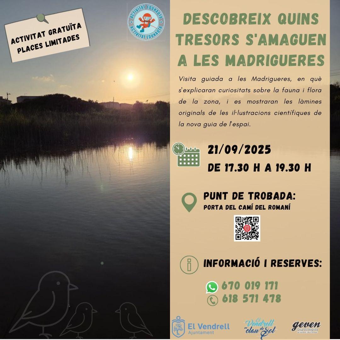 DESCUBRE QUÉ TESOROS SE ESCONDEN EN LES MADRIGUERES 27