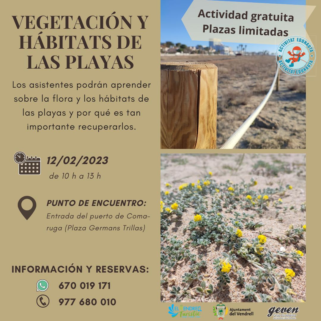 VEGETACIÓN Y HÁBITATS DE LAS PLAYAS 29
