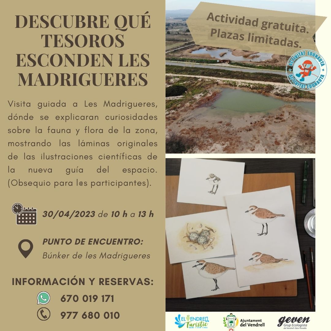 DISCOVER WHICH TREASURES ARE HIDDEN “LES MADRIGUERES” 29