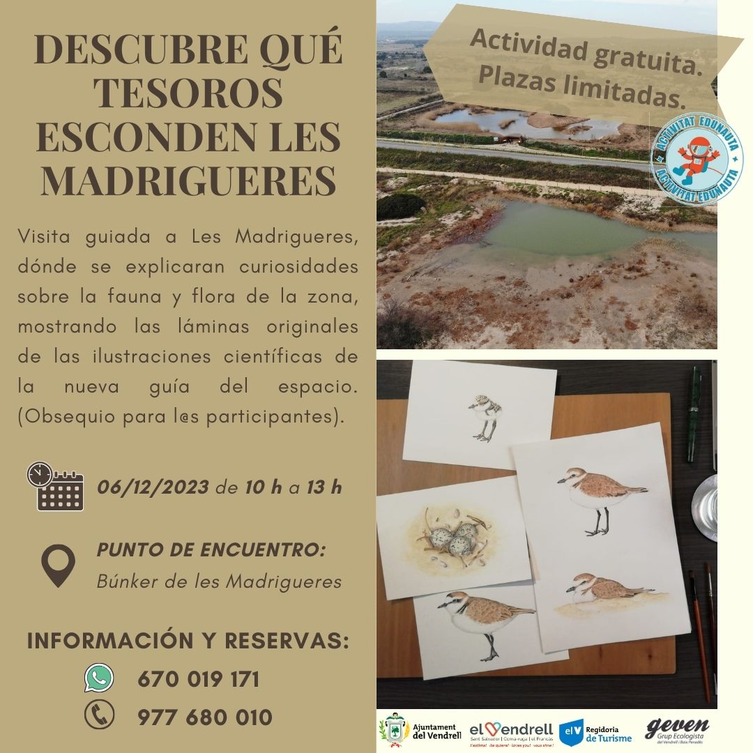 DESCUBRE QUÉ TESOROS ESCONDEN LES MADRIGUERES 29