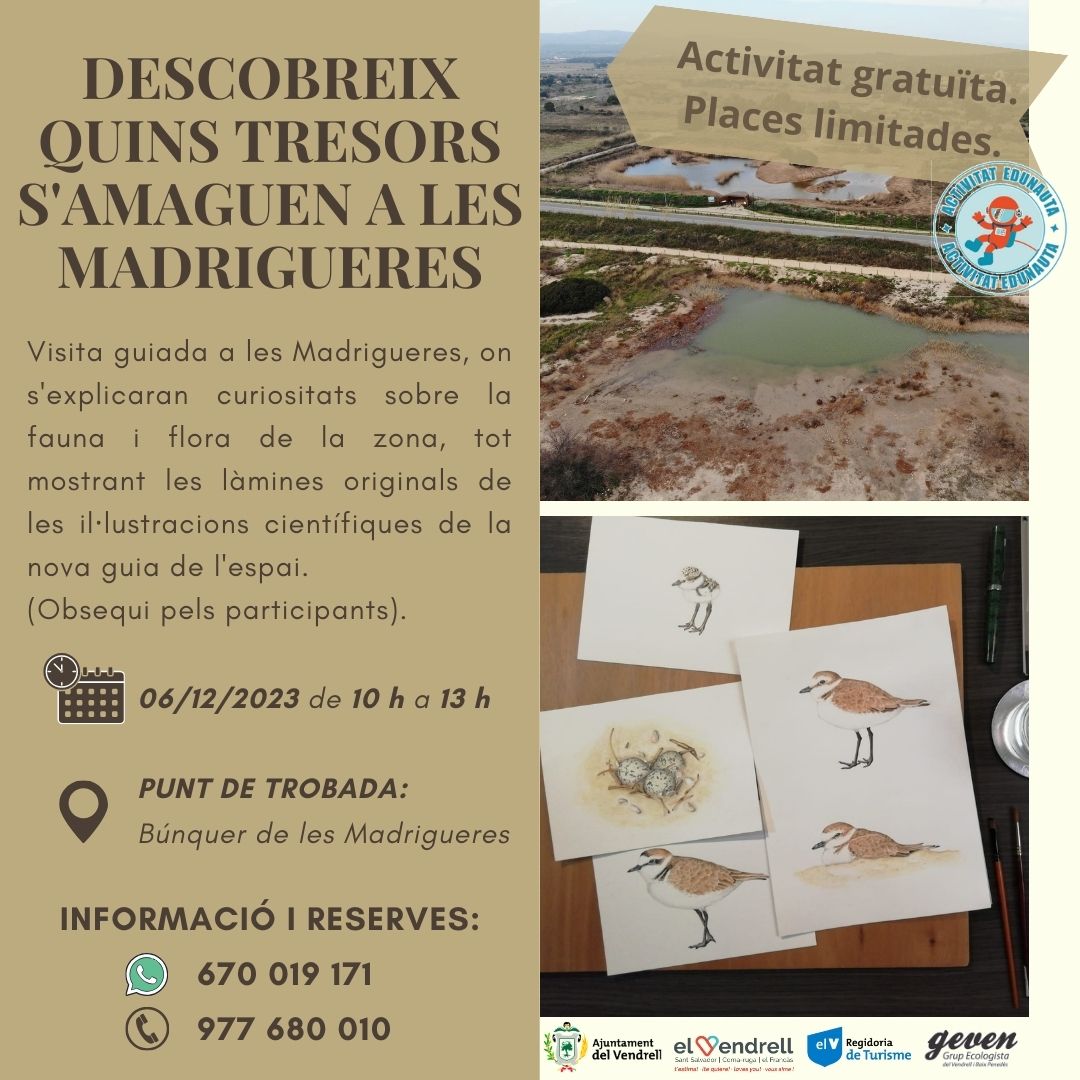DESCUBRE QUÉ TESOROS ESCONDEN LES MADRIGUERES 27